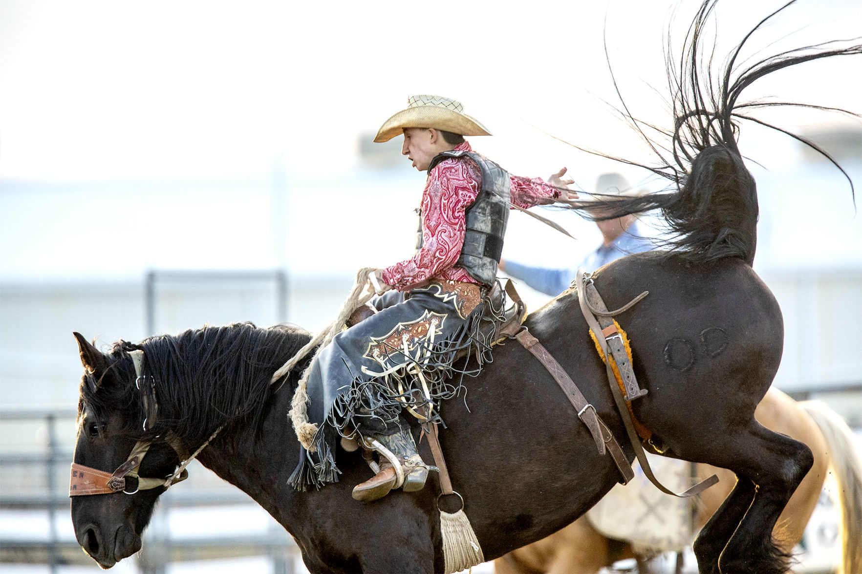 Rodeo gallery